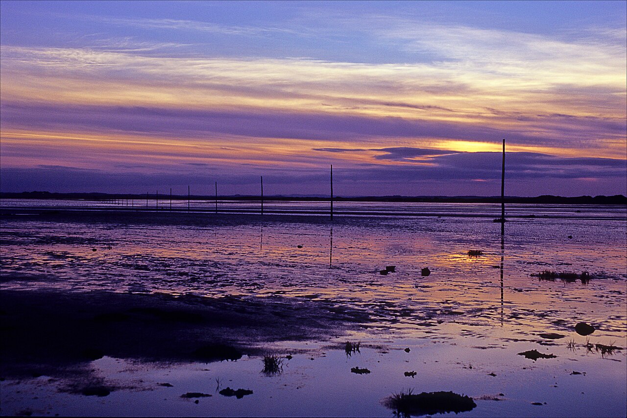 Sunset landscape photograph taken with a Leica R6, showing poles marking St Cuthbert's Way